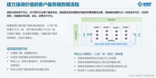《2024年軟件開發行業客戶服務白皮書》