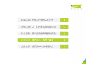 2019年中國教育信息化行業研究報告
